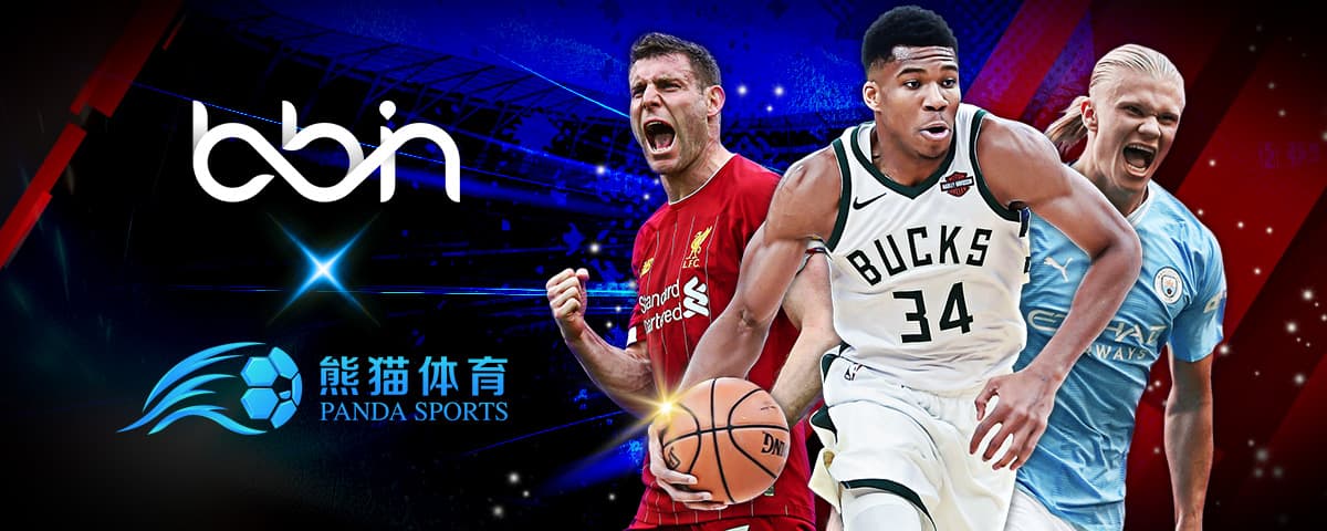 教练可以根